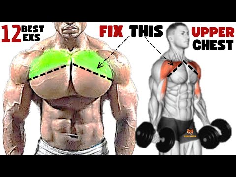 12 BEST UPPER CHEST  WORKOUT AT GYM / Meilleurs exs Musculation  HAUT DE LA POITRINE .