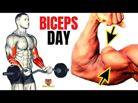 13 BICEPS EXERCISES WITH BARBELL ONLY / Musculation biceps avec barre