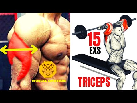 15 BEST TRICEPS WORKOUT AT GYM / Les meilleurs exercises musculation triceps