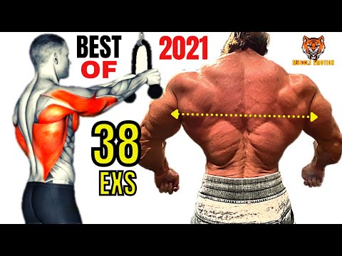 38 BEST BACK EXERCISES TO GET BIGGER BACK FAST / MUSCULATION DOS RÉSULTAT RAPIDE