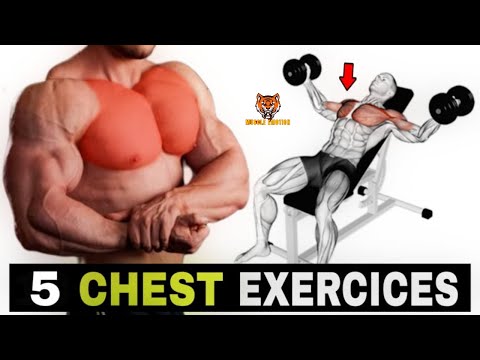 5 BEST CHEST EXERCISES WITH DUMBELLS ONLY / MUSCULATION BAS DES PECS