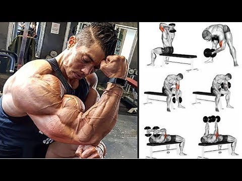 6 STRONG EXS FOR ALL ARMS /  PROGRAMME MUSCULATION BICEPS TRICEPS