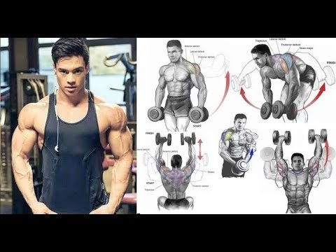 7 MEILLEURS EXERCICES MUSCULATION DE L'épaule 🏆Shoulders Workout