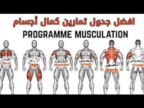 أفضل برنامج لتضخيم | programme musculation | افضل جدول تمارين كمال اجسام