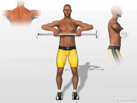 exericices Musculation trapèzes dos.mp4.mp4