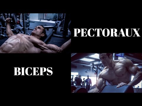 Séance 1/4 : Pectoraux-Biceps (Programme prise de masse en split)